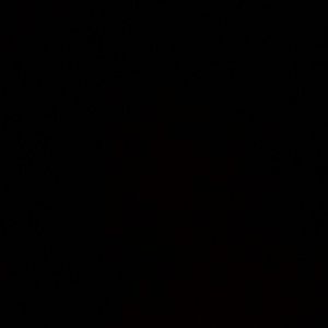 Meet your Posher, Samuel